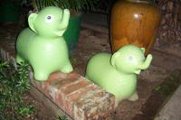 Green Elephants &ndash; &copy; Simone Voigt (Eberhardt TRAVEL)