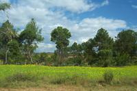 Fahrt nach Pindaya &ndash; &copy; Simone Voigt (Eberhardt TRAVEL)
