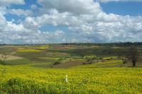 Fahrt nach Pindaya &ndash; &copy; Simone Voigt (Eberhardt TRAVEL)