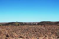 0127_IMG_8839