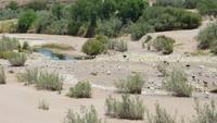 0230 an der Brücke über den Fish River