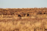 0302_IMG_9285