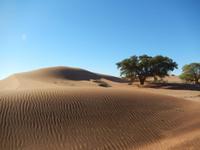 0455 im Sossusvlei