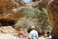 0460_IMG_9676