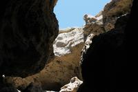 0467_IMG_9689