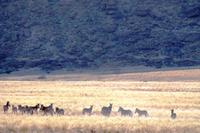 0535_IMG_9864