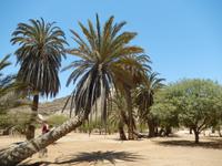 0574 Oase Goanikontes