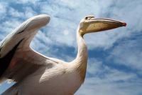 0618_IMG_0107