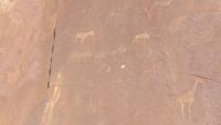 0758 Twyvelfontein - Felsgravuren der Buschmänner