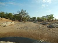 0819 im Himba-Land