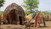 0868 Besuch im Himba-Dorf -