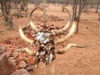 0875 Himba-Friedhof