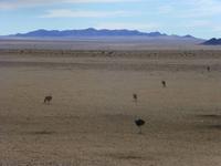 Namibias unendliche Weite