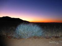 Sonnenuntergang in der Namib