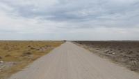 1052 Etoscha-Nationalpark