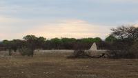 1131 Etoscha-Nationalpark