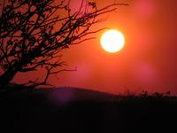 Etoscha Sonnenuntergang