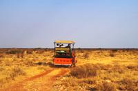 Pirschfahrt in Lapa Lange