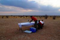 Sundowner in Lapa Lange