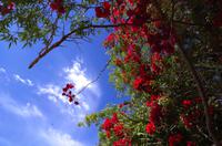 Unterwegs in Keetmanshoop