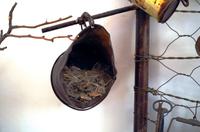 Alte Kalköfen Lodge