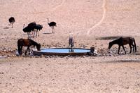 Garub Wasserstelle bei Aus