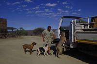 Farmer Guido und seine Haustiere