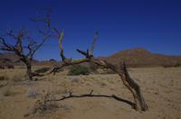 Unterwegs in Namibia