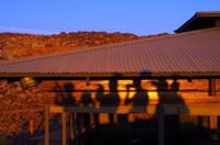 Erdmännchen im Namib Naukluft Camp