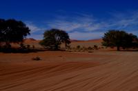 mit Jeeps in die Lehmsenke