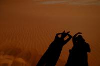 Seltene Wüstentiere