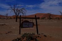 Wegweiser durch die Wüste