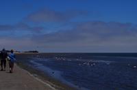 Lagune von Walvis Bay