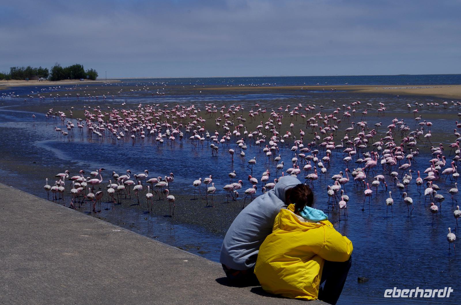 Lagune von Walvis Bay