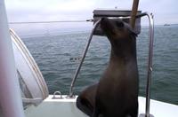 Huhu, ich bin auch noch da