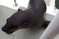 ich rutsch mal näher ran