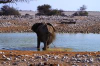 Etosha Nationalpark