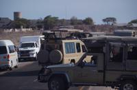 Etosha Nationalpark - Stau