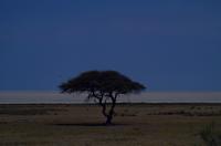 Etosha Nationalpark