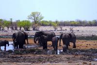 Etosha Nationalpark