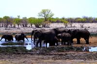 Etosha Nationalpark
