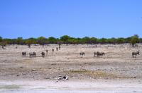 Etosha Nationalpark