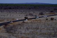 Etosha Nationalpark - Blick vom Turm im Okaukuejo Camp