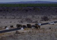 Etosha Nationalpark - Blick vom Turm im Okaukuejo Camp