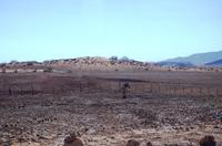 Unterwegs in Namibia - Bergzebra