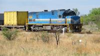 1339 Fahrt nach Tsumeb - Güterzug