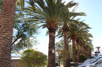 Parkplatz am Hotel Thule