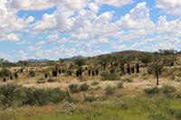Auf dem Weg nach Rehoboth