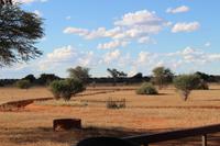 Sundowner-Fahrt auf dem Gelände der Anib Lodge