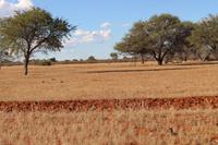Sundowner-Fahrt auf dem Gelände der Anib Lodge